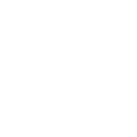 Software Companies 